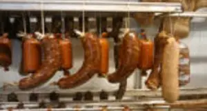 Bauernhof Marcus Kühne Dresden | Hofladen Dresden | Weihnachtsgans Dresden | Weihnachtsente Dresden | Partyservice Dresden | Catering Dresden